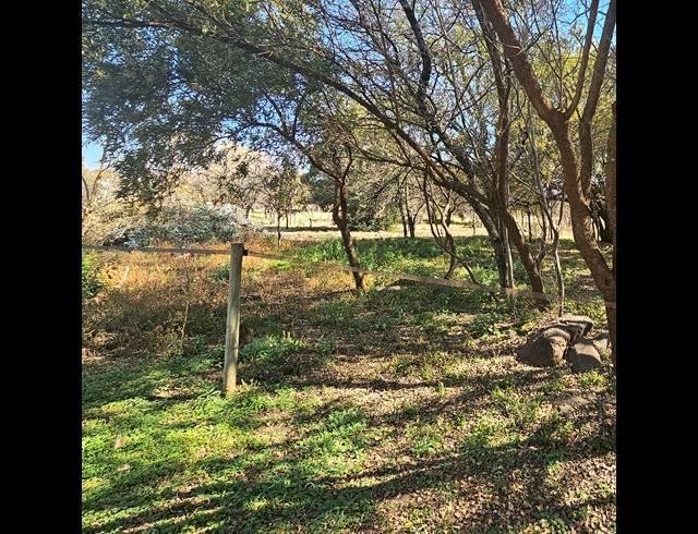 3 BEDROOM EQUESTRIAN PROPERTY FOR SALE IN KNOPJESLAAGTE